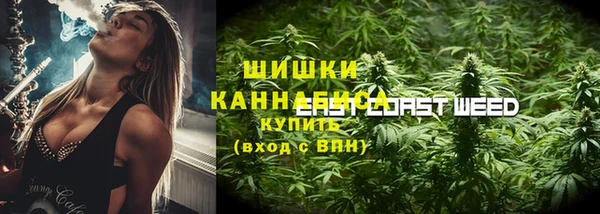 spice Беломорск