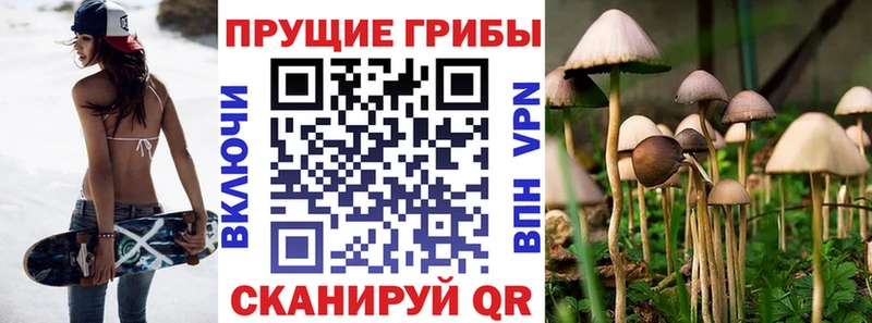 Галлюциногенные грибы мицелий  Рыбинск 