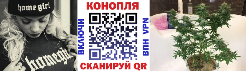 Бошки марихуана SATIVA & INDICA omg маркетплейс дарк нет телеграм Рыбинск