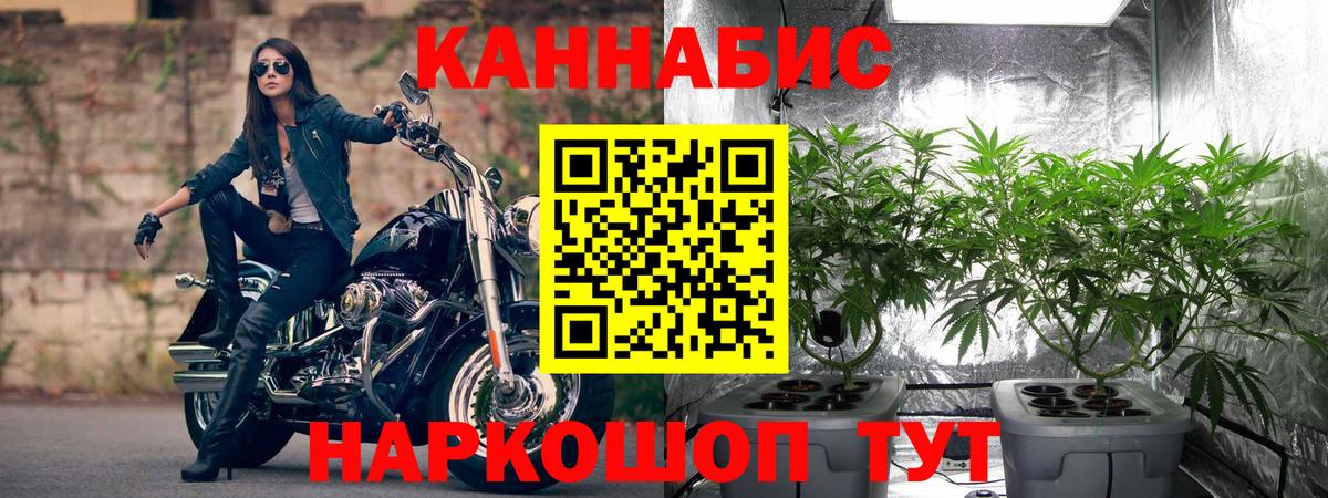 Шишки марихуана SATIVA & INDICA Рыбинск
